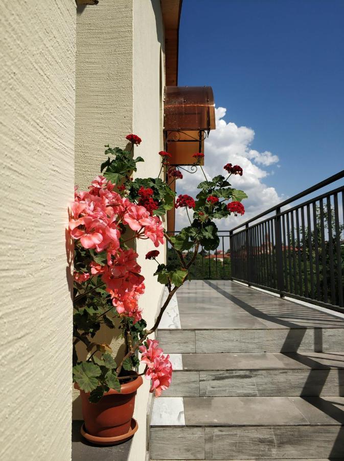 Favourite Apartment Signagi Exterior foto